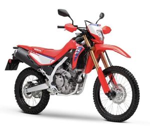 มอเตอร์ไซค์อเนกประสงค์รุ่นใหม่เกรดอุตสาหกรรม 2025C R-F300L 300 ซีซี 2000 วัตต์+ >80 กม./ชม. OEM/ODM รับประกัน 3 ปี - Product Image 3