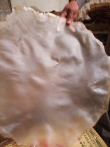 Peau de chèvre 12" 10" 14" 16" 18" 20" 22" 24" 26" 28" 30" 32" 34" 36" pour tête de batterie VELLUM Native Rare personnalisée, en gros - Product Image 3