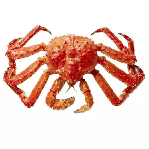 Cangrejo, Cangrejo Rey Rojo, Cangrejo Rey Rojo vivo y congelado - Product Image 1