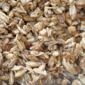 Grano Seco Premium KIM MINH INTERNATIONAL para Alimentación Animal con un 8% de Humedad Máxima, de Ho Chi Minh, Vietnam - Product Image 4