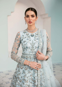 Vestidos Pakistaníes Hechos a Mano, Vestidos Pakistaníes/Indios de Moda para Bodas con Adornos Tradicionales, Vestidos de Noche - Product Image 5