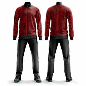 Ensemble de survêtement sportif personnalisé pour hommes et femmes, veste et pantalon de jogging, vêtements de sport d'équipe, fournisseur en gros de vêtements - Product Image 1