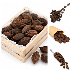 Meilleures ventes : Fabricant vietnamien proposant de la cardamome noire de qualité supérieure à bas prix avec emballage personnalisé - Product Image 4