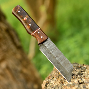 Cuchillo Seax de Acero de Damasco Forjado a Mano Estilo Nórdico con Funda, Hoja de 8 Pulgadas de Espiga Completa, Mango de Resina de Palisandro, Estilo Vikingo, Cuchillo de Caza Reverse Tanto, ODM - Product Image 2