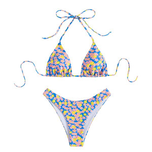 Conjunto de Bikini de Dos Piezas con Estampado de Leopardo para Mujer, Sexy y Personalizado, con Características Antibacterianas y Ecológicas, Logotipo Frontal - Product Image 1