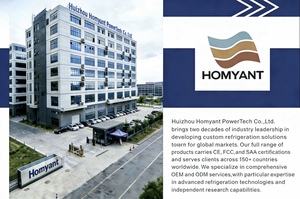 1HP Paslanmaz Çelik Buz Banyosu Soğutucu Su Soğutma Makinesi Soğuk Dalış İyileştirme Profesyonel Tasarım - Product Image 3