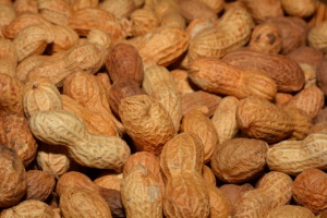Nouvelle saison, arachides comestibles indiennes, noyaux d'arachides comestibles de qualité supérieure, noyaux d'arachides comestibles frais, nouvelle récolte - Product Image 6