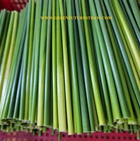 Pailles en roseau 100% naturelles et biodégradables, certifiées Green Future, pour diamètres de 13 à 20 cm, 5 à 8 mm, accessoires écologiques