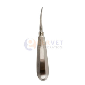Ensemble de 2 élévateurs dentaires micro-dentelés droits et courbés de qualité supérieure – Instruments de dentisterie - Product Image 4