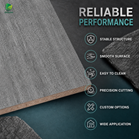 Panneau de particules mélaminé gris béton industriel Jinbase XT6013 18 mm E0 1220x2440 mm pour la conception d'intérieur moderne