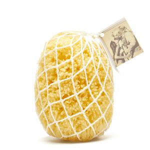 Esponja de mar de calidad superior en bolsa de red - Product Image 1