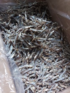 Anchoas Secas Premium de Vietnam, Proveedor Mayorista de Mariscos de Alta Calidad - Product Image 5