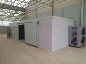 Séchoir à mangue commercial Machine à fruits Séchoir industriel pour aliments Séchoir à légumes Machine à fruits secs - Product Image 4