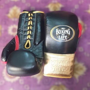 ถุงมือชกมวยหนังวัวแท้ รุ่น Custom No Boxing No Life สำหรับฝึกซ้อม ขนาด 16 ออนซ์ รับผลิตแบบ OEM - Product Image 1