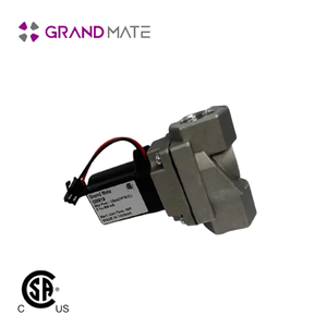 หัวเผาเตาย่าง1/2 PSI วาล์วแก๊สมิลลิโวลต์หัวฉีด - Product Image 1