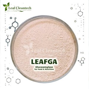Enzima glucoamilasa para procesamiento de alimentos-Hidrólisis de almidón-Conversión de azúcar-Aplicaciones nutricionales de India | Enzimas alimentarias | - Product Image 1