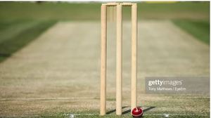 <b>Bleach</b> and polished Cricket 3 Stumps 2 Bails 16mm Thickness Customizable Material & Color High Quality by Standard International - Product Image 4