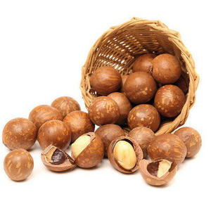 Nueces de Macadamia de Alta Calidad Cultivadas Naturalmente, 100% Maduras, a Precio de Mayoreo Económico - Product Image 3