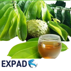 Hojas secas naturales de Annona muricata con estándares de calidad de exportación, crudas y sin procesar, adecuadas para marcas de té de hierbas. - Product Image 2