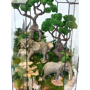 Wholesale Modern Unique Design Glass & Metal Terrarium Planter Custom Home Decor Geometric Succulent Box for Wedding Gift - Product Image 6