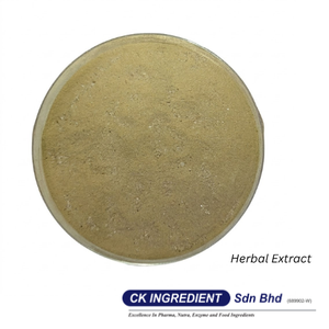 Extracto de Kacip Fatimah en Polvo de Primera Calidad, Halal, OEM, B2B, Mejor Proveedor Garantizado, Superventas, Hierba para la Salud y Vitalidad Femenina - Product Image 6