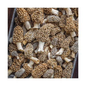 Champignons de morilles sauvages séchés East Naturhus, soigneusement sélectionnés pour une longue durée de conservation et un goût frais - Product Image 2