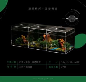 Fourmilière rectangulaire miniature en acrylique transparent avec couvercle, pour salon, étanche, facile à nettoyer, zone d'alimentation, coffre, Whisper - Product Image 5