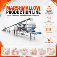 Complete marshmallow productielijn, continue klopmachine voor fruit smaak marshmallow industriële verwerking