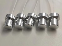 Caractéristiques uniques de la pompe de parfum en aluminium FEA15 du pulvérisateur 100mcl