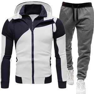 2025 Unisex <b>Quick</b> Dry Zipper Hooded Sweatshirt and Sweatpants New Casual Fitness Jogging Sports Suit for Men for Winter - Product Image 1