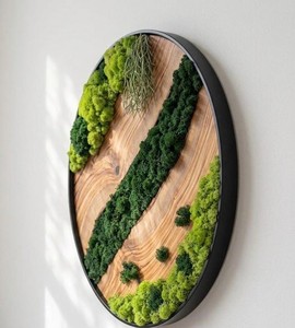 Arte de Musgo en Madera, Decoración Forestal, Panel de Pared Natural, Obra de Arte Verde, Diseño Hecho a Mano, Exhibición de Musgo Preservado, Interior Orgánico - Product Image 2