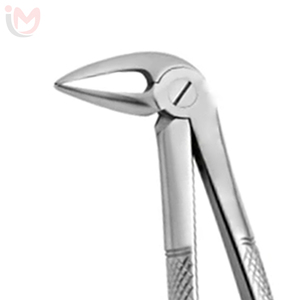 Forceps d'extraction dentaire manuel en acier inoxydable pour molaires inférieures, instrument chirurgical de classe I pour l'extraction dentaire - Product Image 2