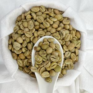 [Listo para enviar] Granos de café verde Robusta Premium, 18 pantallas, alto contenido de cafeína, suministro a granel de Vietnam - Product Image 6