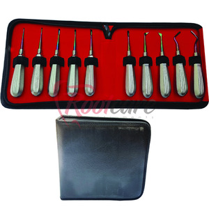 Kits de Elevadores de Raíces Dentales de Alta Calidad para Uso Clínico, Elevadores de Raíces Dentales de Marca Privada - Product Image 5