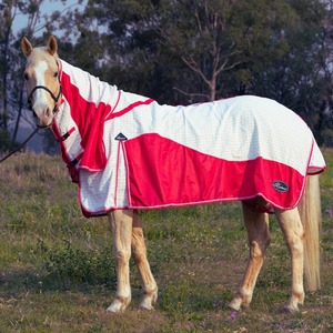 Alfombras de Montar a Caballo Personalizadas de Alta Calidad, Ligeras, de Nailon y Algodón para Invierno, las Más Cómodas para Caballos - Venta al por Mayor - Product Image 3