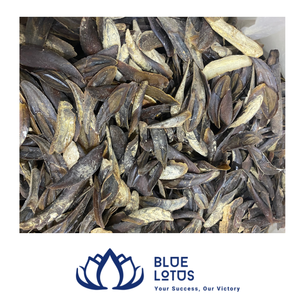 [HOT SELLING] Blue Lotus Farm Murex Operculum Seashell Nail <b>Shell</b> Raw Material for Fragrance Oil Incense Perfume Extract Thanh - Product Image 1