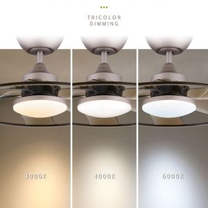 <b>Light</b> Pro 22-Inch LED Indoor Coffee Smart <b>Ceiling</b> Fan with <b>Remote</b> <b>Control</b> Only Available for Pickup [TK/TEMU] - Product Image 6