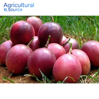 Top 1 Passievrucht-Vers Zure Zoete Smaak Tropisch Exotisch Fruit-Perfect Voor Dranken Passievrucht-Van Vietnam Fabriek