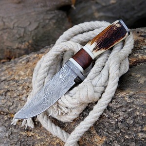 Couteau utilitaire Skinner industriel fait main sur mesure en acier Damas avec manche en corne, pointe tombante, lame droite fixe de 10 pouces pour l'extérieur - Product Image 2