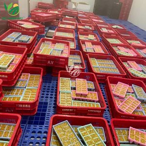 PULPA DE FRUTA DE LA PASIÓN PARA EL MERCADO DE EXPORTACIÓN DE VIET THIEN PHU FOOD, VIETNAM - Product Image 3