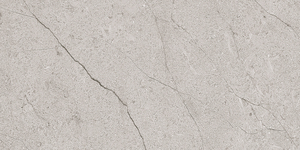 Azulejos de Cerámica con Acabado Pulido Modelo 1045-D 300x600mm - Product Image 1