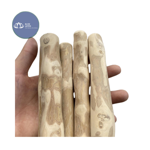 [DISPONIBLE] |   Jouet à mâcher interactif en bois de café pour chien, vente en gros, bâtonnets de nettoyage buccal pour animaux de compagnie, fournitures du Vietnam - Product Image 1
