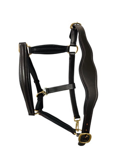 Cabezada Anatómica Acolchada Suave con Tachuelas para Caballo, Collar de Exhibición de Confort, Halter de Latón Sólido, Arnés Anatómico Negro y Marrón - Product Image 1