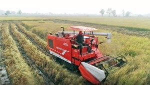 Cosechadora Combinada Paddy Master 3776 - Product Image 2