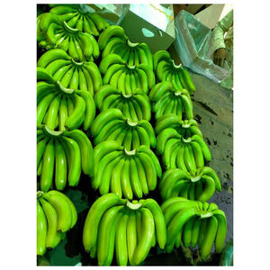 Plátanos Cavendish Verdes Naturales Frescos en Venta al Precio Más Bajo - Product Image 2