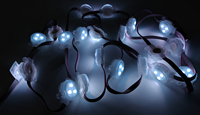 Navidad Led luz a todo color 30mm al aire libre Ip67 impermeable 12V Led Rgb Pixel Led Point Light