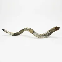 Corne de Shofar polie, artisanale, en corne animale naturelle, pour l'art religieux décoratif