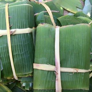 Feuilles de bananier vertes naturelles, fraîches et congelées, 100 % biodégradables, emballage alimentaire de qualité export pour les États-Unis, l'UE, l'Australie et l'Asie Ms.May - Product Image 3