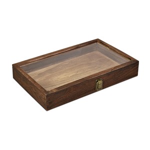 Vitrine de terrarium en bois de manguier avec façade en verre - Décoration artisanale en gros - Product Image 3