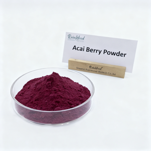 Rainwood - Concentrado de Polvo de Bayas de Acai Liofilizadas, Polvo de Jugo de Acai, Polvo de Acai - Product Image 1